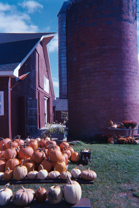 Fall Getaway Packing List: Capture Your Weekend With Click