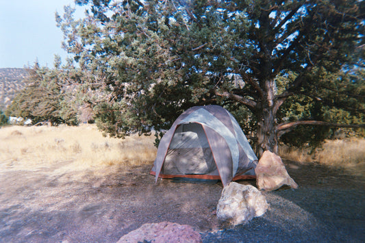 Kids, Camps & Clicks: Why Disposable Cameras Belong on Every Packing List