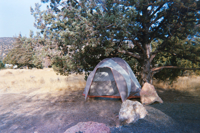 Kids, Camps & Clicks: Why Disposable Cameras Belong on Every Packing List